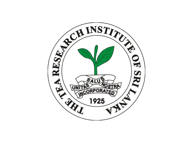 Business Development