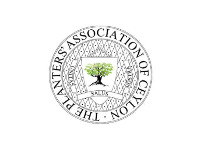 Business Development