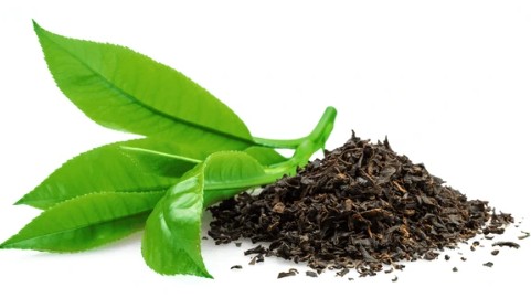 India Recorded its Highest-Ever Tea Exports in 2025